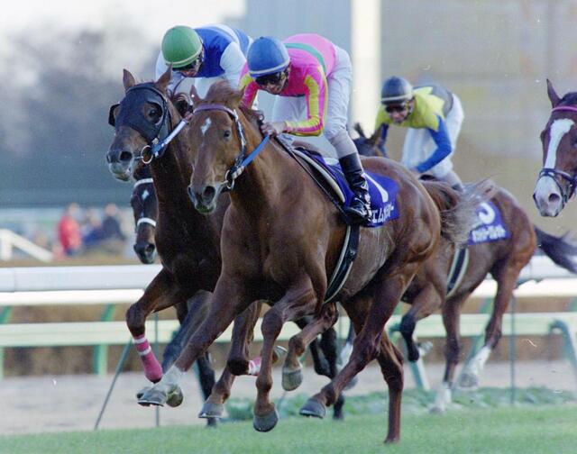 有馬記念】秋3冠ラスト中山二五は落とし穴に注意 テイエムオペラオー