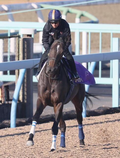 有馬記念】馬場状態から浮上するのはこの馬だ