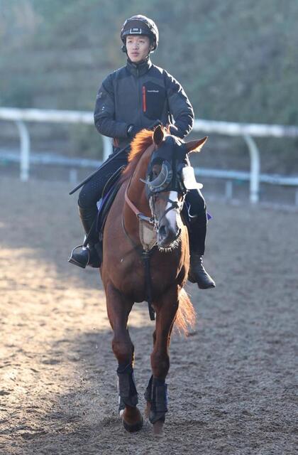 有馬記念】展開から浮上するのはこの馬だ