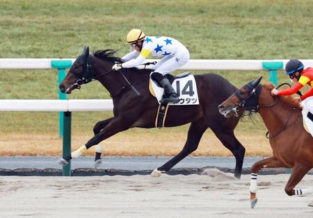 　新馬戦を制したトウタツ（撮影・石湯恒介）