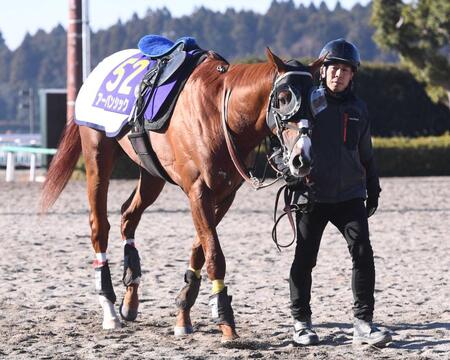 【有馬記念】アーバンシック　思惑通りの仕上がり　武井師「今ならウイニングランできそう」