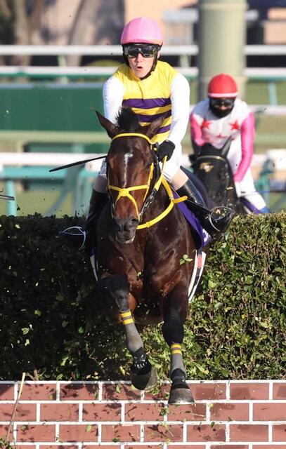 中山大障害】ニシノデイジー 障害王奪還！5馬身半差で圧勝 五十嵐も会