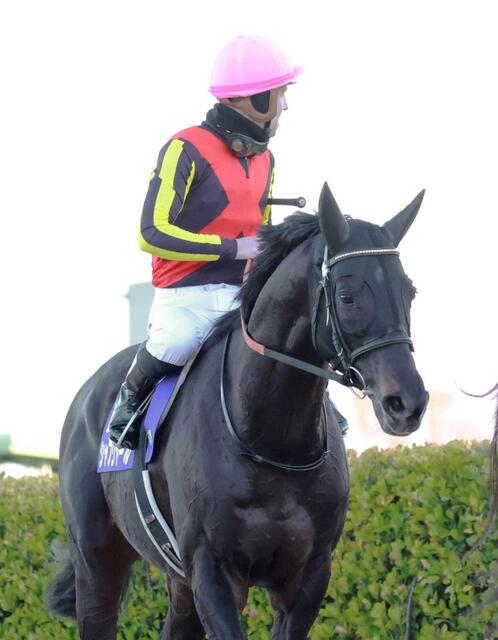 有馬記念】シャフリヤール 大外枠の不利をはねのけ2着 鼻差惜敗も