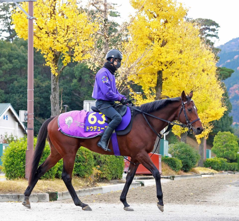 　無念の出走取消となったドウデュース