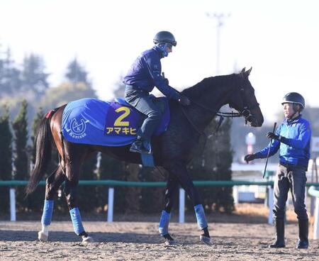 　名牝アパパネの子で１戦１勝ながらＧ１獲りに挑む良血アマキヒ