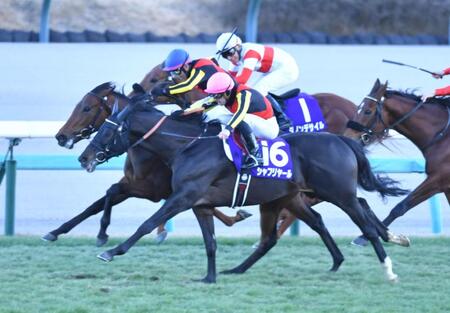 　有馬記念でダノンデザイルを一気に抜き去るレガレイラ（左）とシャフリヤール（手前）＝２２日