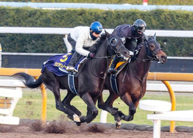 ホープフルS】クロワデュノール鋭伸 北村友「欠点がなく、総合