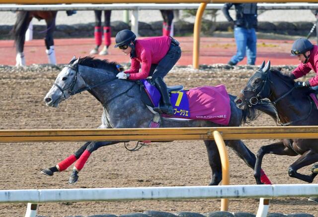 ホープフルS】武豊 ヤマニンブークリエでG1完全制覇だ 24年「最後