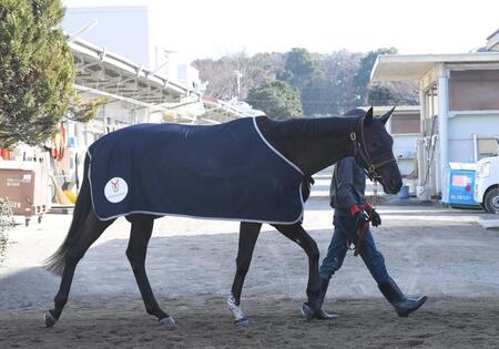 　初陣を迎える良血馬オールニッポン