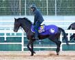 【ホープフルＳ】展開から浮上するのはこの馬だ