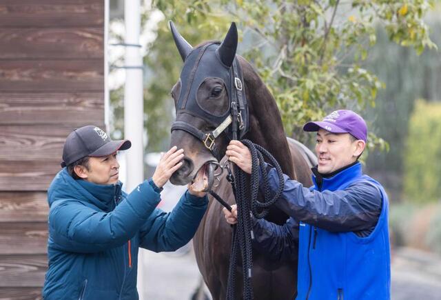 シャフリヤール退厩 藤原師「きっといい子を出す」