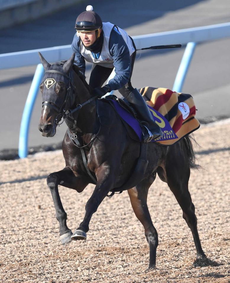 　２歳中距離王の座を狙うピコチャンブラック