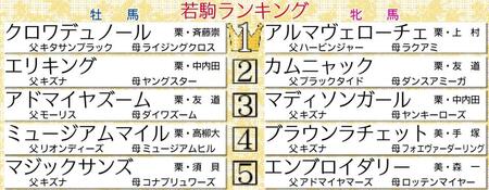 　若駒格付けランキング表