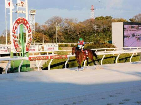 　重賞初制覇を果たしたインベルシオン（撮影・中山伸治）