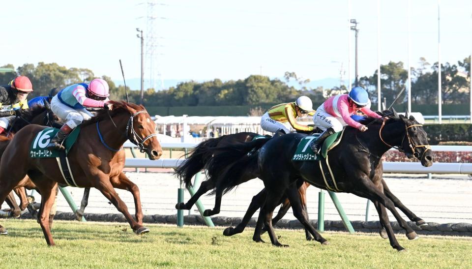 　京都金杯を制したサクラトゥジュール（右）