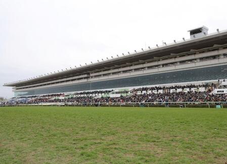 　中山競馬場