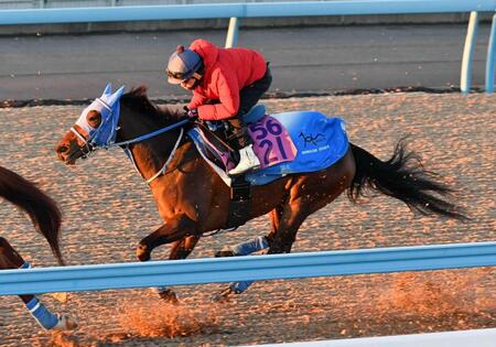 　美浦Ｗで２頭併せで追い切られたミーントゥビー