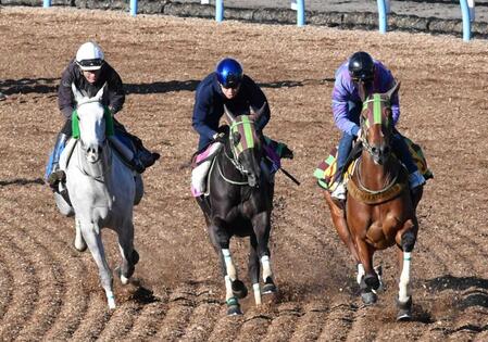 　３頭併せで力強く併入したホウオウガイア（中央）＝撮影・持木克友