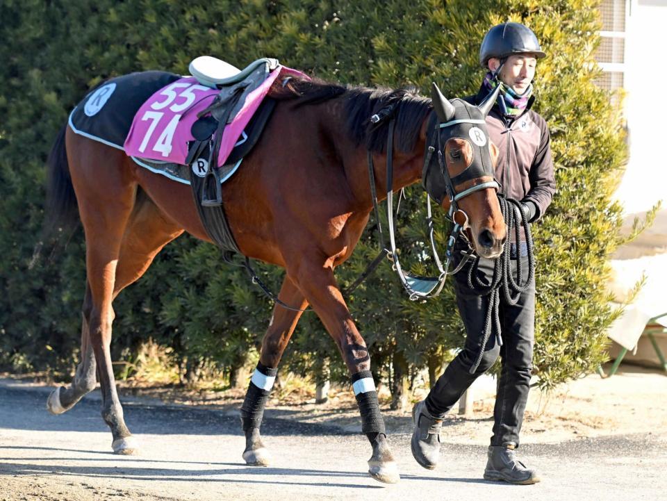 　重賞初挑戦でＶを狙うラージギャラリー（撮影・石井剣太郎）