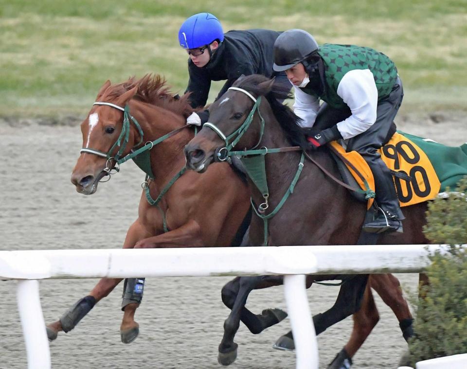 　重賞初Ｖへ順調な仕上がりを見せるジャルディニエ（左）