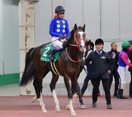 　５着となり引き揚げる武豊騎乗のタイセイカレント