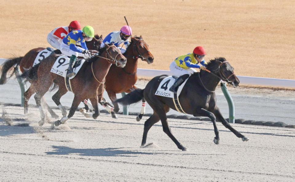 　新馬戦を制した川田将騎乗のヨリノレジェンド（右）