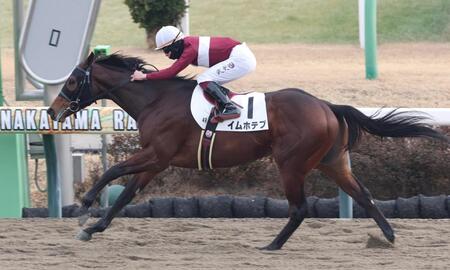 〝圧逃〟を決めたイムホテプ＝中山競馬場