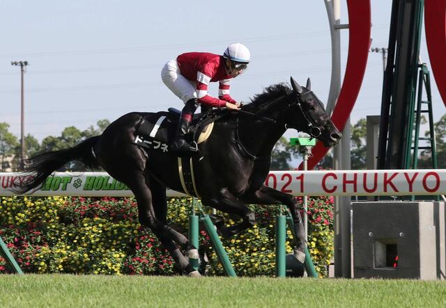 ドーブネが引退、藤田晋氏の馬主初勝利