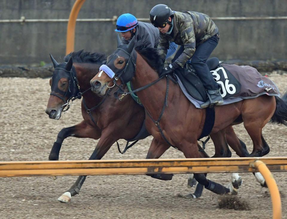 　併せ馬で好仕上がりをアピールしたヴェローチェエラ（奥）＝撮影・石井剣太郎