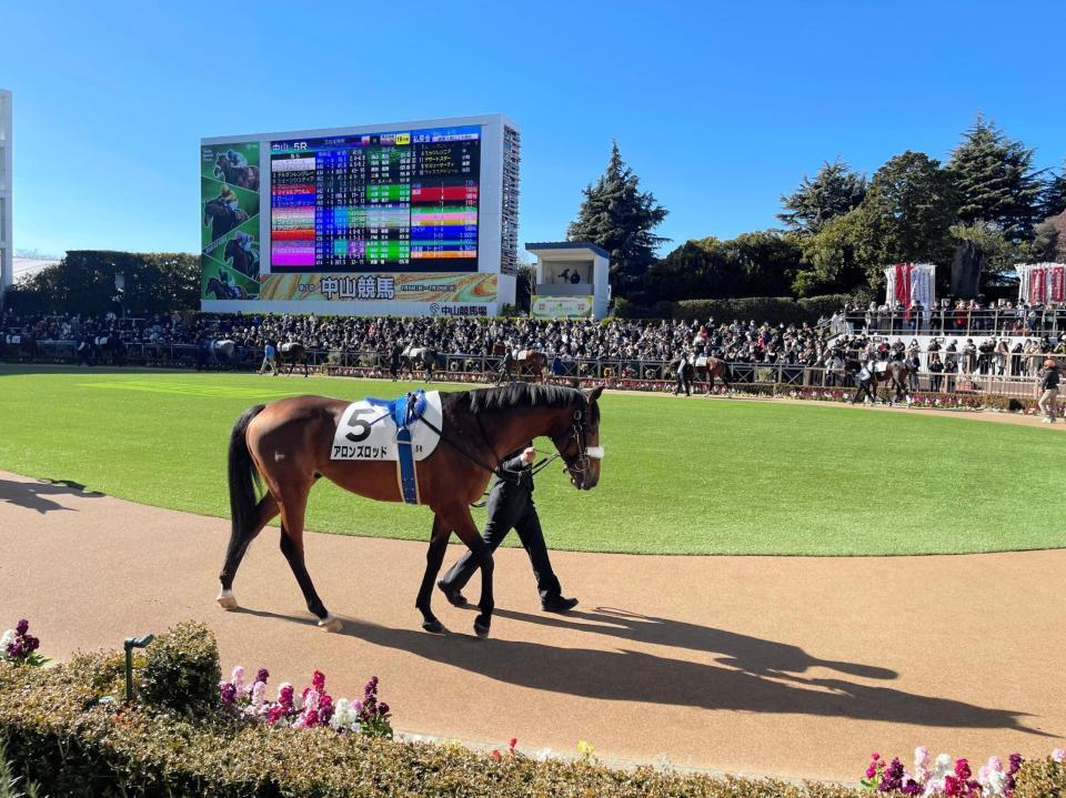 中山５Ｒでパドックを周回するアロンズロッド