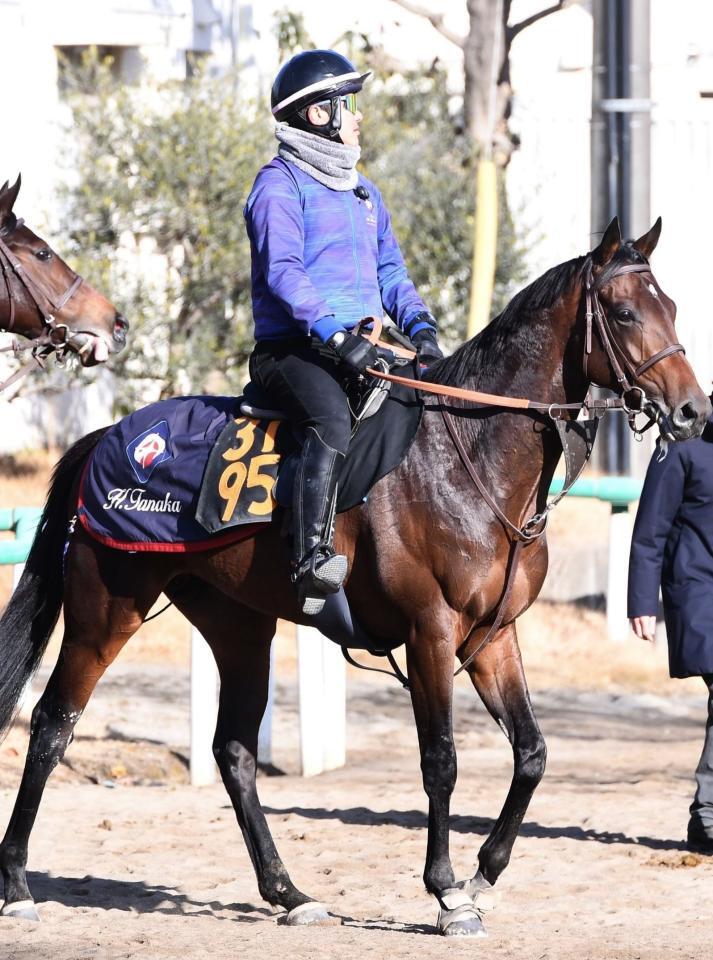 　キングノジョー