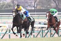 　京成杯を制したニシノエージェント（左）＝撮影・園田高夫