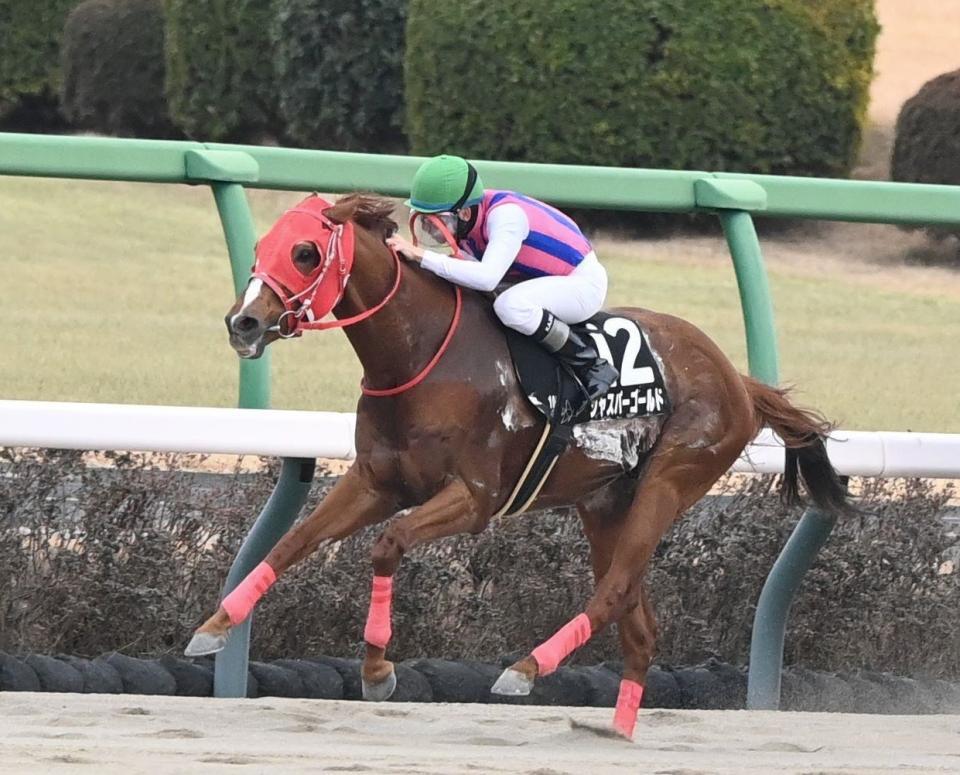 　ジャニュアリーＳを制したジャスパーゴールド（撮影・園田高夫）