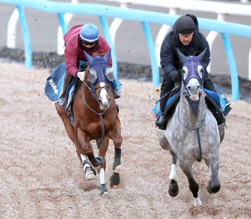 　巻き返しへ本来の調子を取り戻してきたオメガギネス（左）