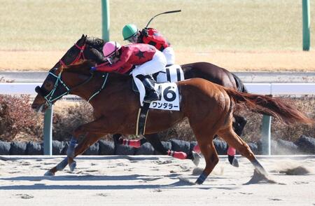 【新馬戦】ワンダラー　ゴール前でとらえＶ　黒岩師は前日から中山新馬戦連勝「長く良い脚を使ってくれました」