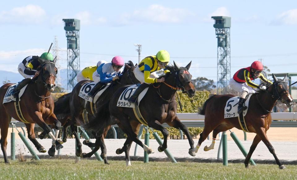 　新馬戦を快勝したラウルベア（中央）