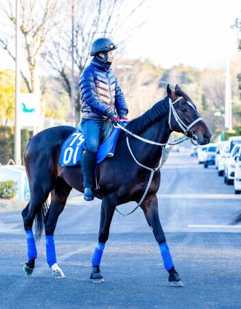 　運動するメイショウソラフネ