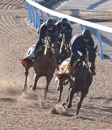 　美穂Ｗで３頭併せで追い切られたコスタノヴァ（左）＝美浦トレセン（撮影・持木克友）