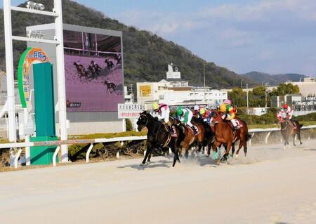 　他地区の重賞を初勝利したスペシャルエックス（左）＝撮影・中山伸治