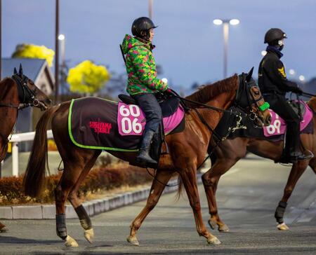 　スワローサプライズ