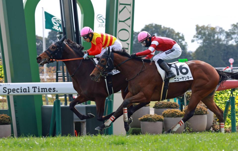 　新馬戦を制したハギノピアチェーレ（左）＝撮影・石湯恒介