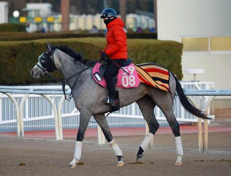 　運動するパールペンダント（撮影・石湯恒介）