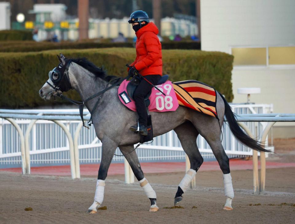 　運動するパールペンダント（撮影・石湯恒介）