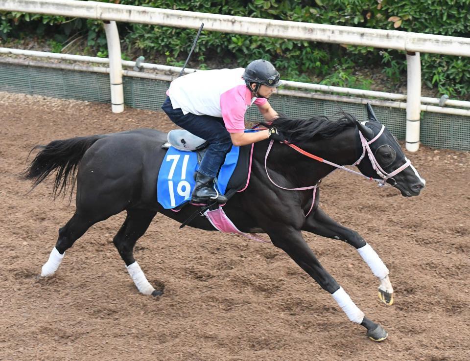 　ジューンアヲニヨシ