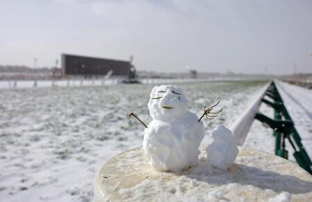 　中止になった京都競馬（撮影・石湯恒介）