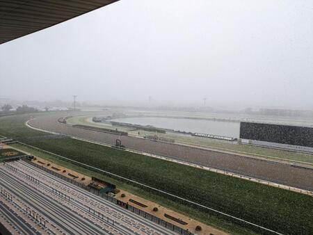　雪が舞う京都競馬場