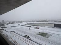 雪に覆われた８日の京都競馬場