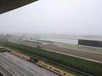 　雪が舞う京都競馬場