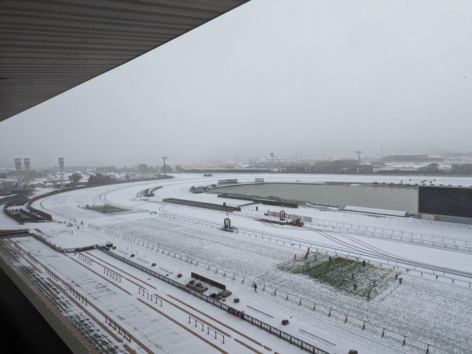 雪に覆われた８日の京都競馬場