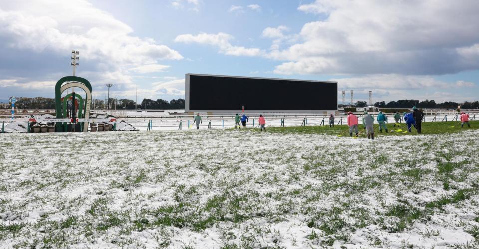 　中止になった京都競馬（撮影・石湯恒介）